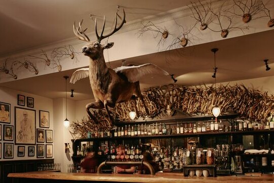 Flying Stag Bar, Stag taxidermy Restaurant Braemar